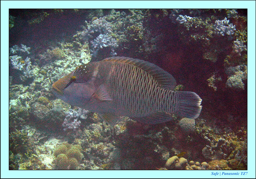 2012 - 07 - Palinton Sanctuary 15